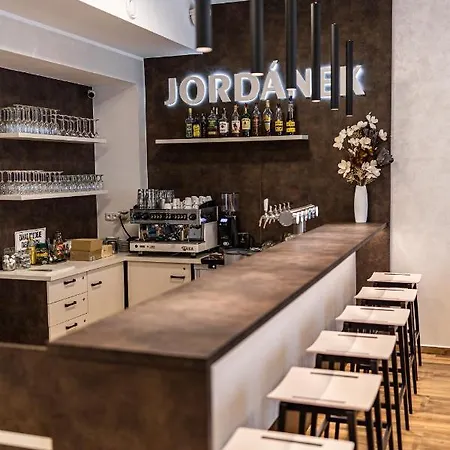 酒店 Jordanek *